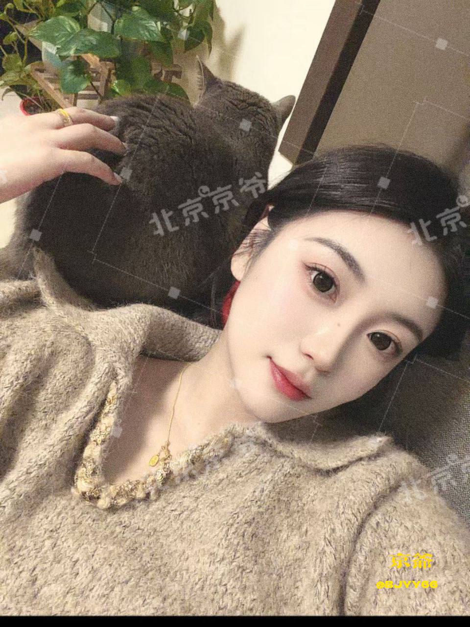 服务型、高挑、清纯（北京市、北京市）资料图片第 3 张