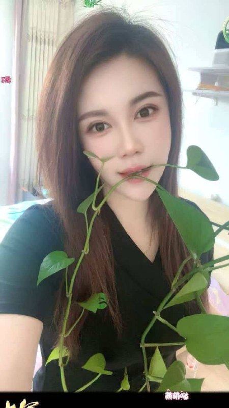 身材好、配合度高、温柔热情（沈阳市、辽宁省）资料图片第 2 张
